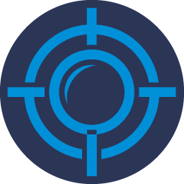 Bees and Wasp Removal Company