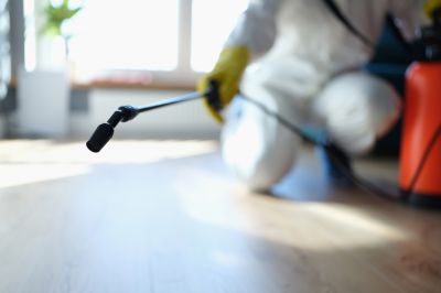 Pest Fumigation Service in Asheville, NC