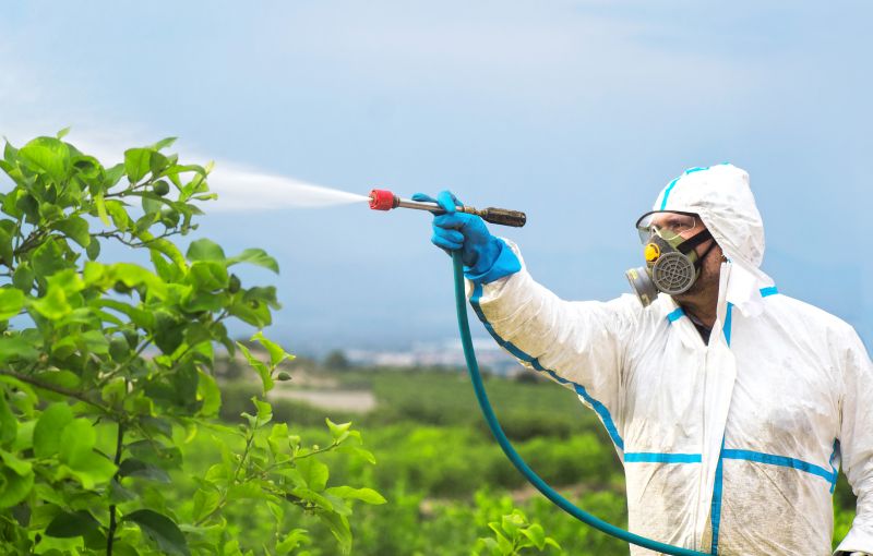 Pest Fumigation Service in Columbus, OH