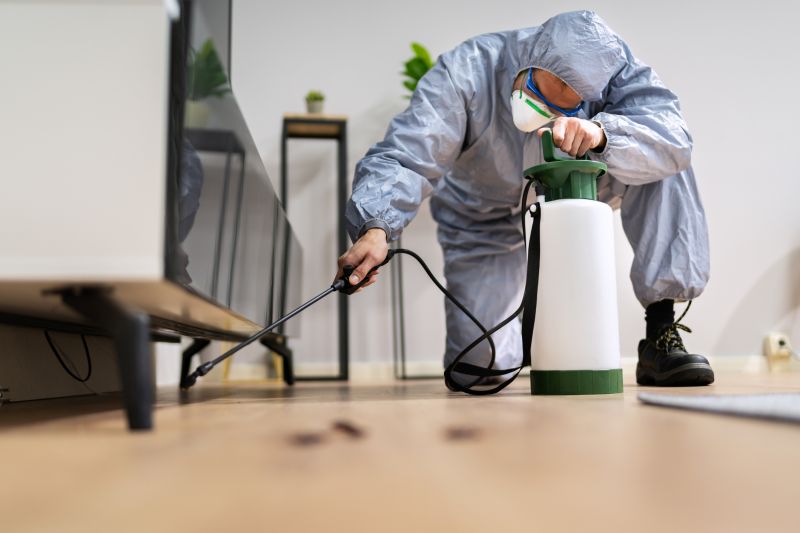 Roach Fumigation in Winston Salem, NC