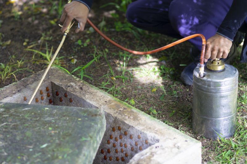 Spider Fumigation Service in Bellingham, WA