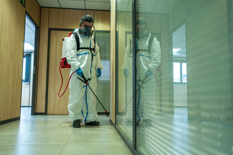 Spider Fumigation Service in Phoenix, AZ