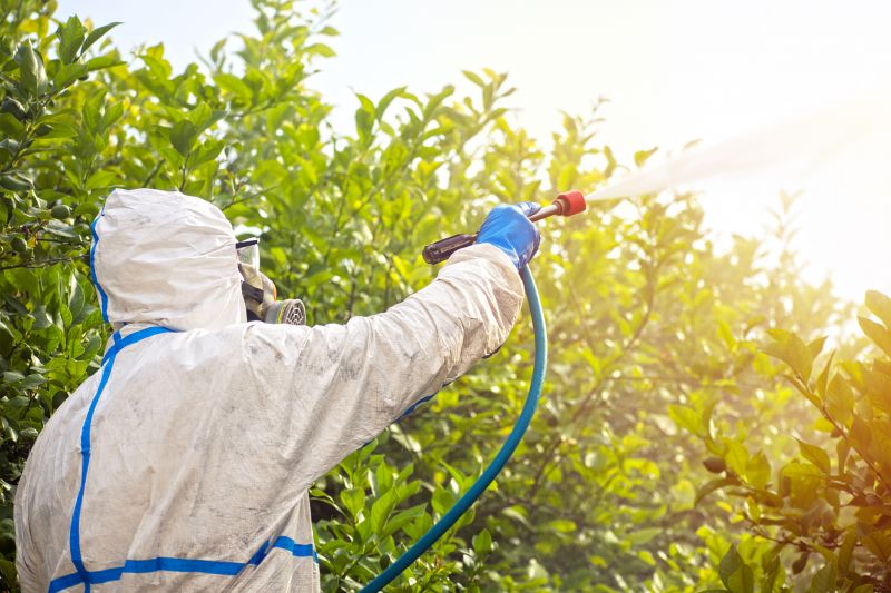Spider Fumigation Service in Phoenix, AZ